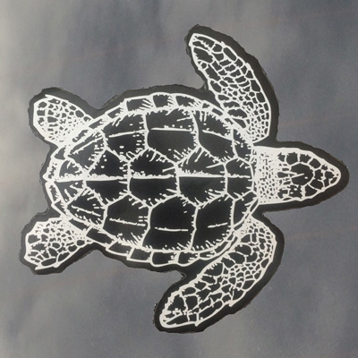 # CSS DECAL SEACAL-TURTLE