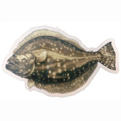 CSS Flounder Die Cut Decal